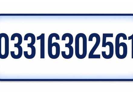 The Story Behind 03316302561: A Comprehensive Analysis
