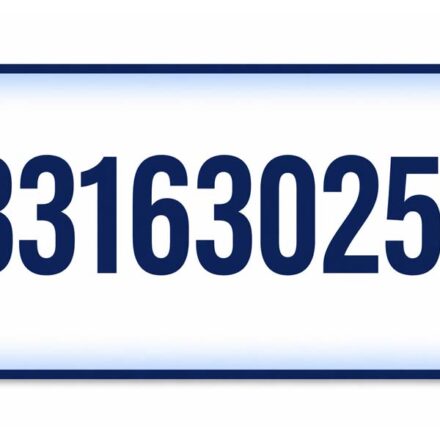 The Story Behind 03316302561: A Comprehensive Analysis