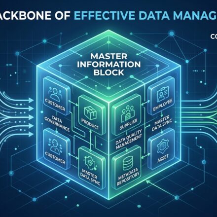 Master Information Block: The Backbone of Effective Data Management