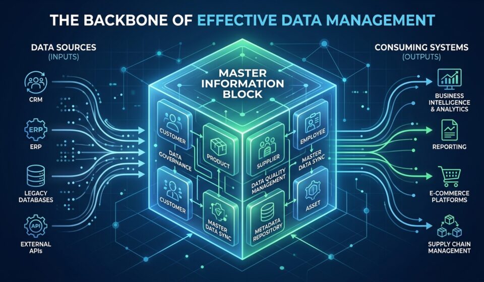Master Information Block: The Backbone of Effective Data Management