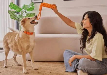 Petto shop: The Ultimate Checklist for New Pet Owners