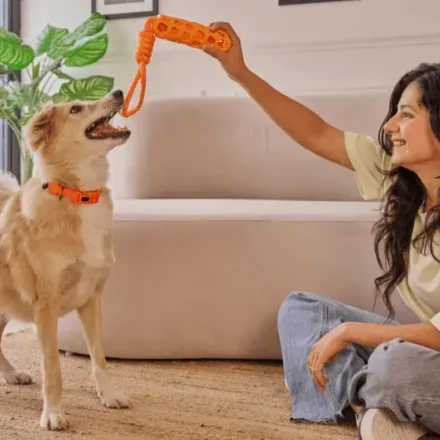 Petto shop: The Ultimate Checklist for New Pet Owners