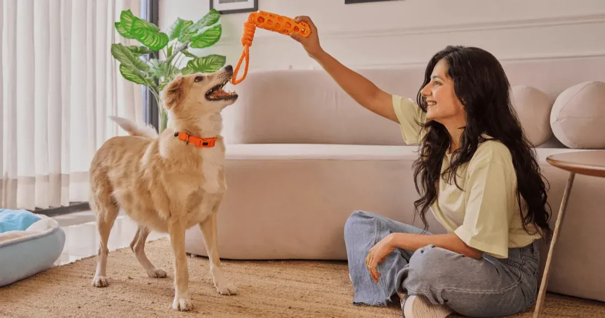Petto shop: The Ultimate Checklist for New Pet Owners